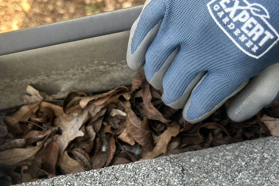 Gutter Cleaning Kyle, TX